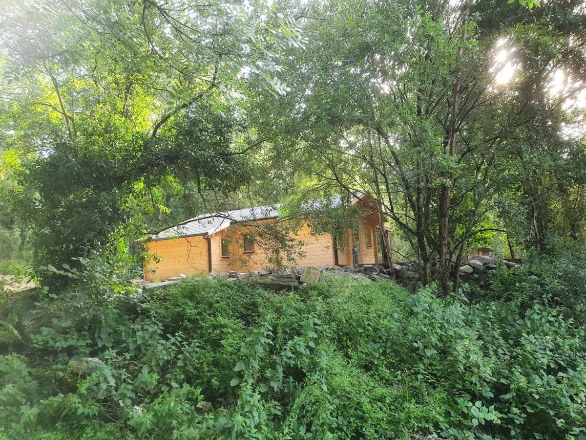 Stunning Log Cabin On The Lake Portroe 外观 照片