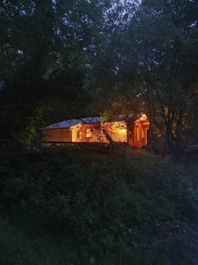 Stunning Log Cabin On The Lake Portroe 外观 照片